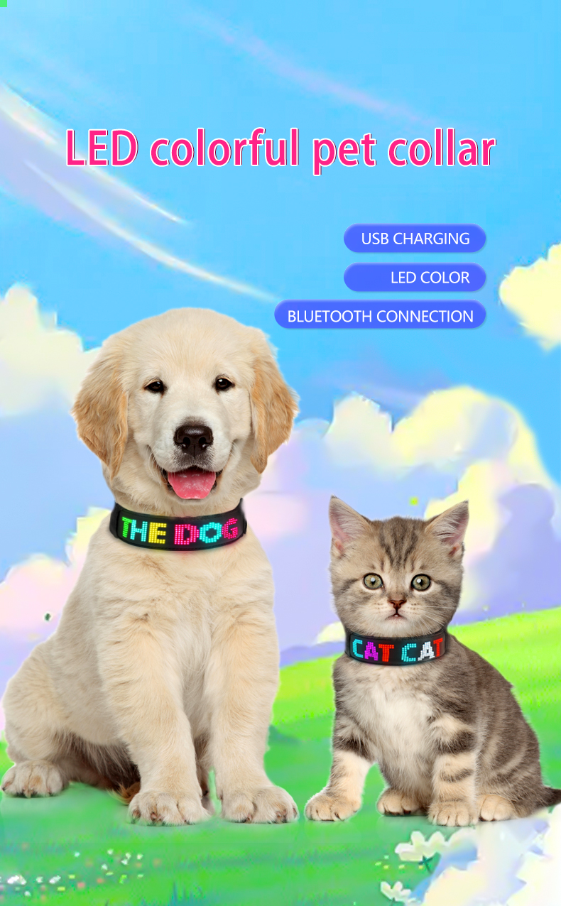 LED Dog Collar Glow in the Dark Light Up Luminous Dog Collar Waterproof Rechargeable Lighted LED Pet Safety Collar（images 1）