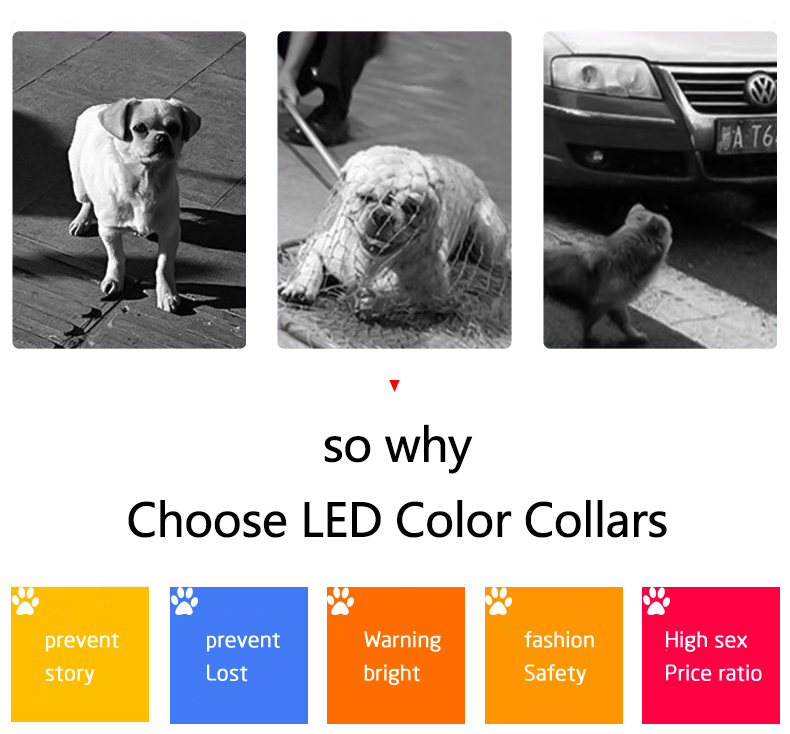 LED Dog Collar Glow in the Dark Light Up Luminous Dog Collar Waterproof Rechargeable Lighted LED Pet Safety Collar（images 3）