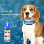 LED Dog Collar Glow in the Dark Light Up Luminous Dog Collar Waterproof Rechargeable Lighted LED Pet Safety Collar