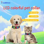 LED Dog Collar Glow in the Dark Light Up Luminous Dog Collar Waterproof Rechargeable Lighted LED Pet Safety Collar