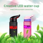 Smart LED Display Water Bottle Mobile Phone Control Digital Message Moving LED Water Cup 800ml Large Capacity Bottle For Sports