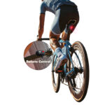 Wholesale LED Cycling Rear Tail Light Waterproof USB Bicycle Warning Lights Bike Motorcycle Accessories